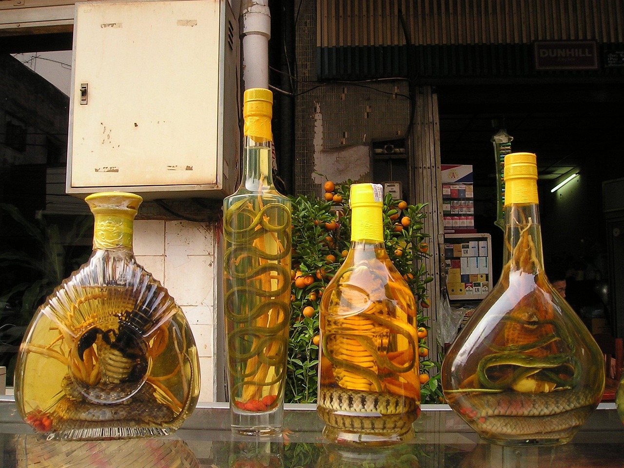 四川十大名酒品牌2025最新排名前十名榜單出爐